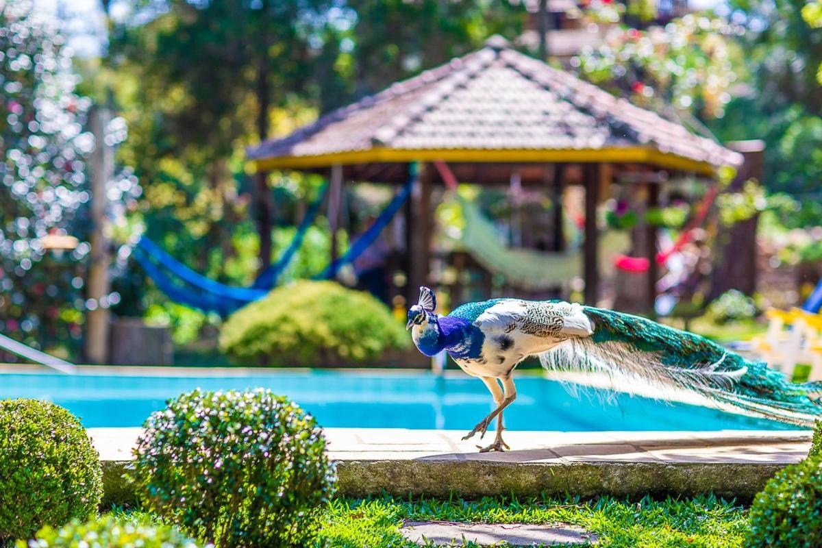 Pousada Villa D'Amore Monte Verde  Exterior foto