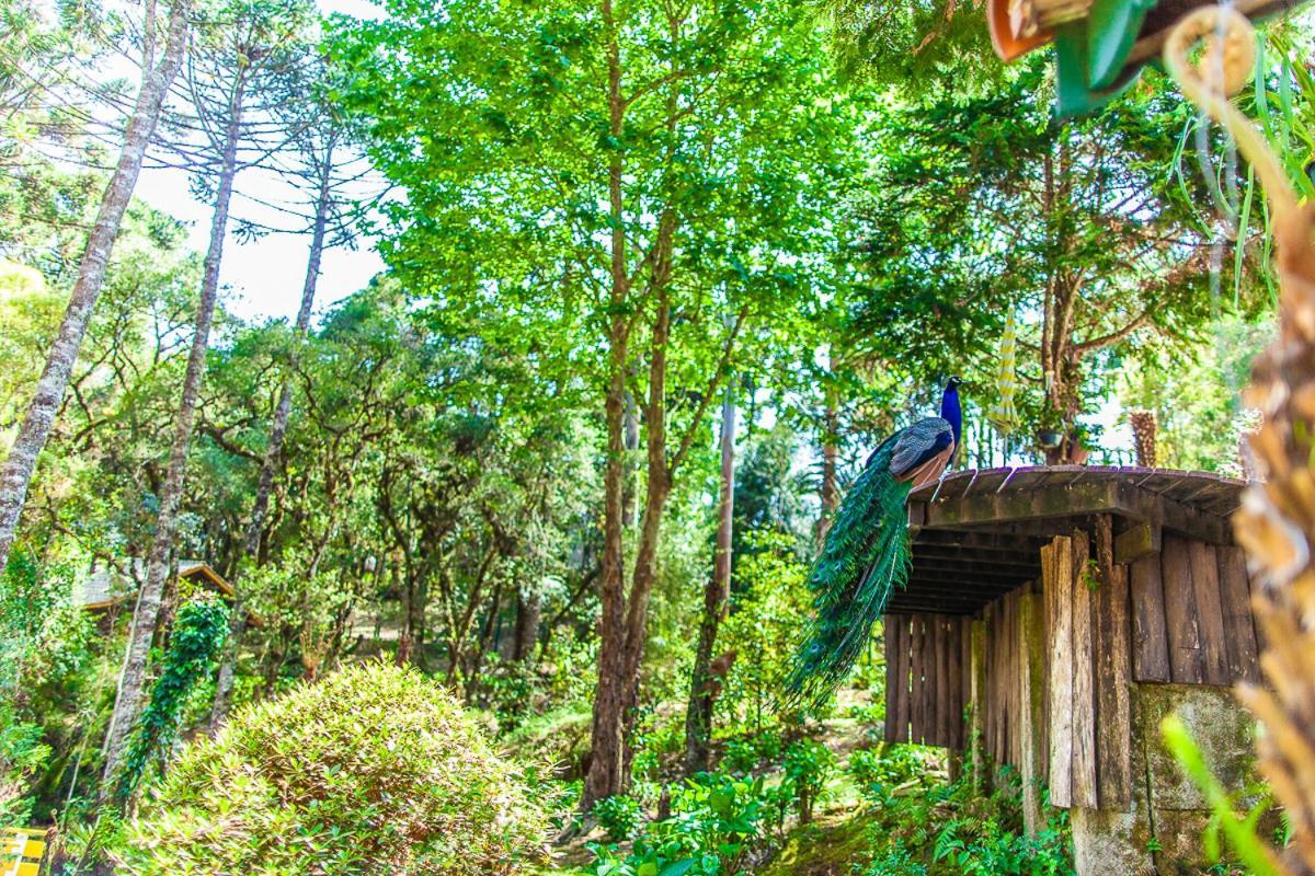 Pousada Villa D'Amore Monte Verde  Exterior foto