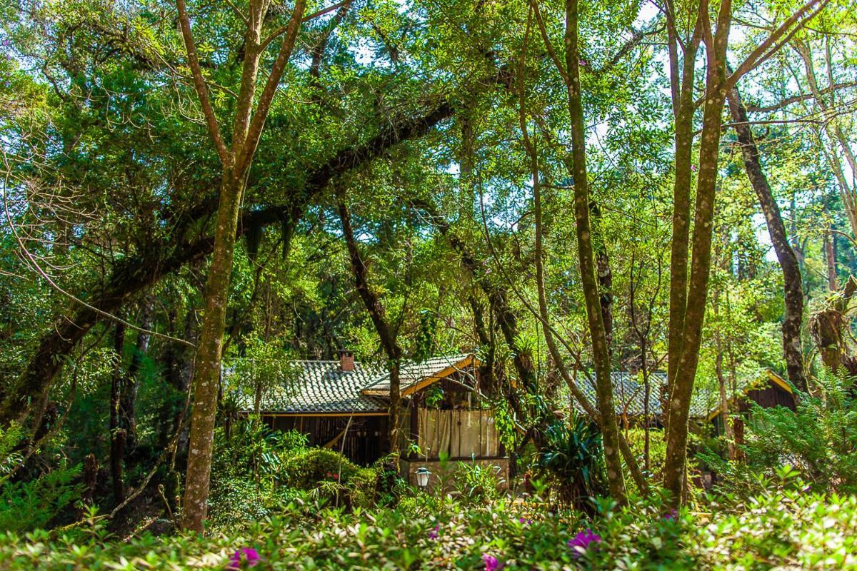 Pousada Villa D'Amore Monte Verde  Exterior foto
